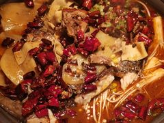 -师烤·豆花烤鱼(广州荔湾扬韬广场店)