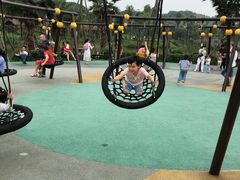 -枫香湖儿童公园