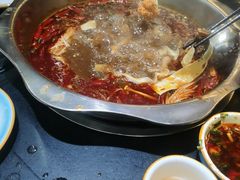 -金鼎雪山牦牛杂火锅(理县总店)