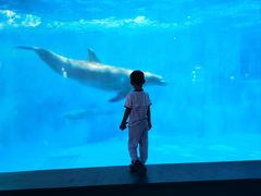 -福州罗源湾海洋世界旅游区