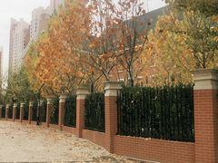 -华兰国际幼稚园(海逸园)