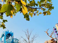 -上海迪士尼度假区