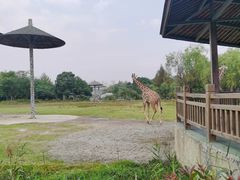 -宁波野生动物园