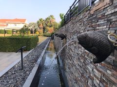 -厦门悦华酒店·绿庭主题自助餐厅