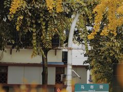 -Auco游咖.咖啡(清吟街店)