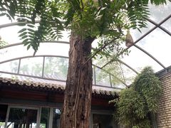 -zarah(鼓楼店)