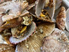 -宾朋海鲜饭庄(兴海路店)