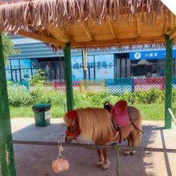 -萌宠亲子动物乐园(槐房万达店)