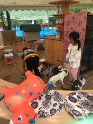 -萌宠亲子动物乐园(槐房万达店)