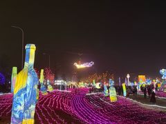 -国际非物质文化遗产博览园