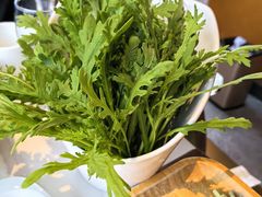 -蒙都43°9羊火锅·赤峰美食(宁城店)