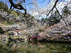 -醍醐寺