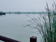 -西青郊野公园