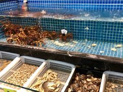 -新天禧大酒店·四十年浙菜·禧宴(西湖店)