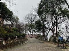 -紫金山天文台