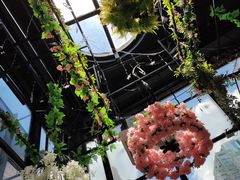 -聚缘·湘味音乐餐厅party(罗湖店)