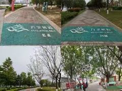 -飞来湖湿地公园