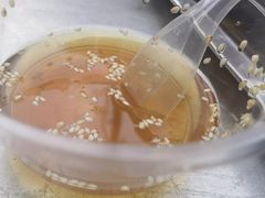 -宋文成烤肉(白沙巷店)