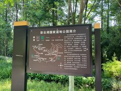 -重庆彩云湖湿地公园