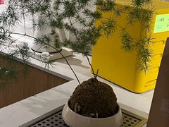 -Cafe on warm(丹霞店)
