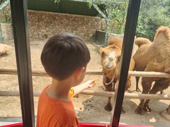 -南京汤山紫清湖生态旅游温泉度假区