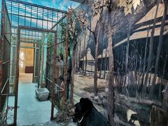 -北京动物园-畅观楼