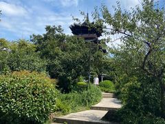 -杭州半山国家森林公园