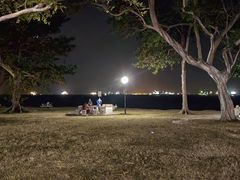 -东海岸人工湖美食村