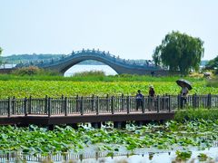 -天津东丽湖风景区