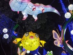 -武汉园博园(武汉自然博物馆)