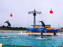 -秦皇岛乐岛海洋王国