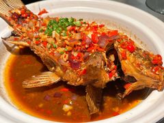 -费大厨辣椒炒肉(高铁吾悦广场店)