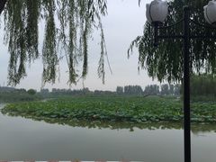 -白洋淀景区