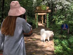 -大岭沟猕猴桃谷风景区