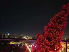 -烛影拾光观景餐厅·创意菜·摄影·小提琴(大唐不夜城店)