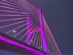 -武汉知音号
