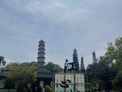 -江心屿景区