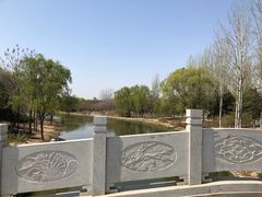 -大兴滨河森林公园