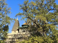 -北京石刻艺术博物馆(五塔寺)