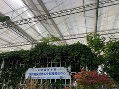 -光明小镇欢乐田园