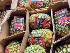 -东方鼎信农副产品交易中心