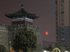 -诸城市恐龙博物馆