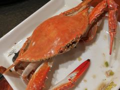 -苏大嘴海鲜牧场(奥林匹克店)