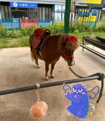 -萌宠亲子动物乐园(槐房万达店)