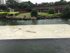 -惠和石文化园