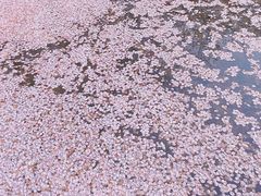 -诺贝尔湖公园