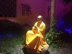 -印象普陀