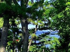 -棒棰岛宾馆景区