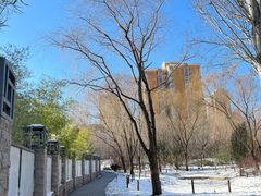 -北极寺公园