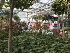 -南宫五洲植物乐园